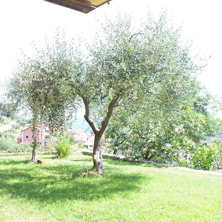 La Casa Con Vista Di Emma Lägenhet Vezzano Ligure Exteriör bild
