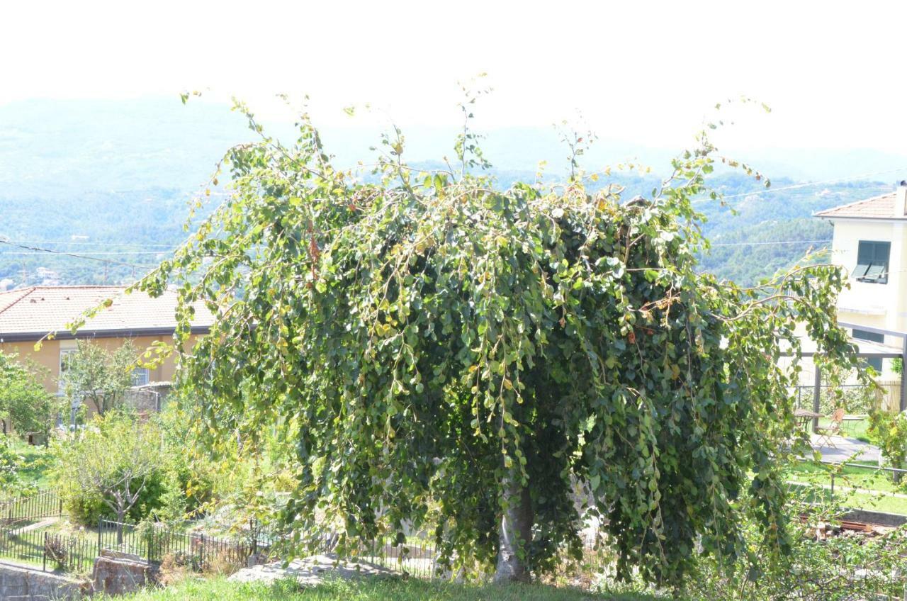 La Casa Con Vista Di Emma Lägenhet Vezzano Ligure Exteriör bild